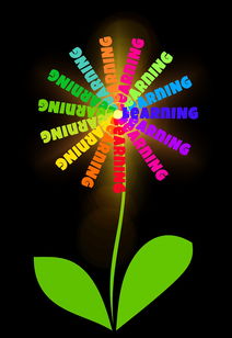 生活经验,智慧的结晶,生活的指南针